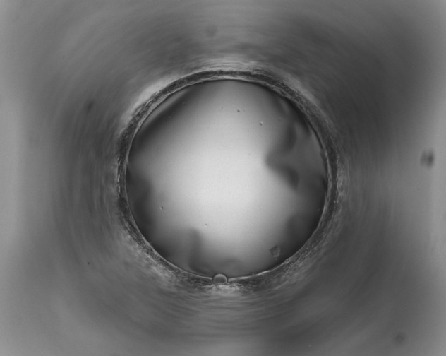 X0000114201315200910231334