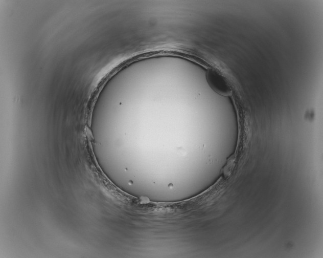 X0000114201316200910231334