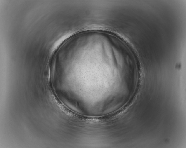 X0000114201317200910231334