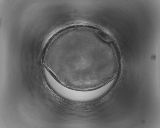 X0000114201318200910231334