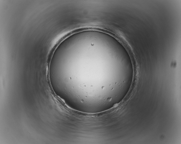 X0000114201320200910231334