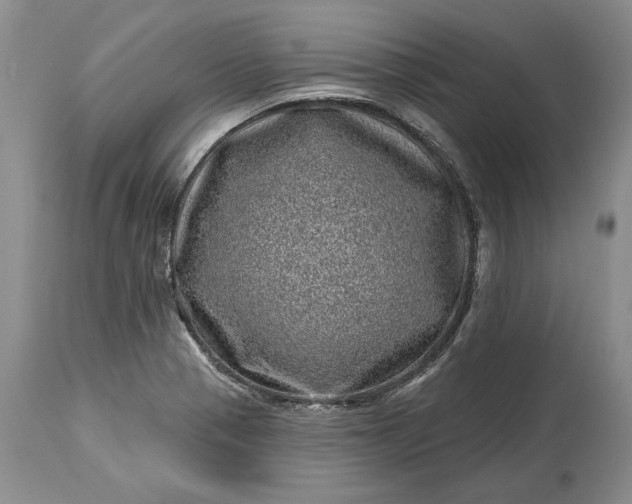 X0000114201321200910231334