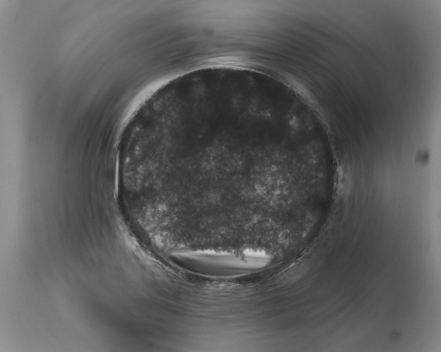 X0000114201323200910231334