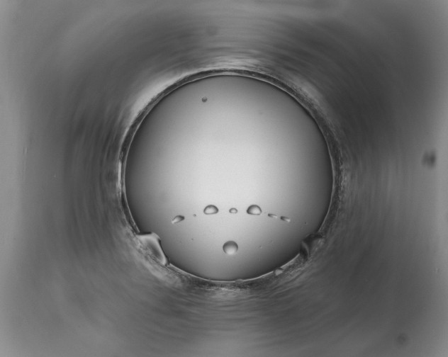 X0000114201324200910231334