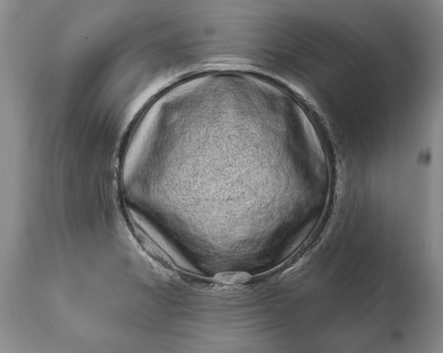 X0000114201325200910231334