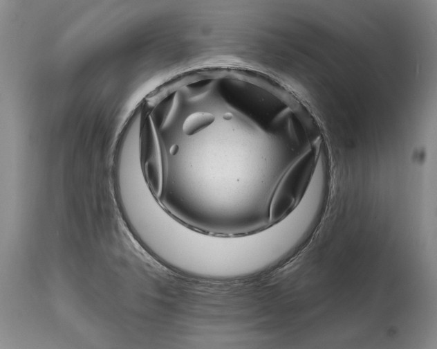 X0000114201326200910231335