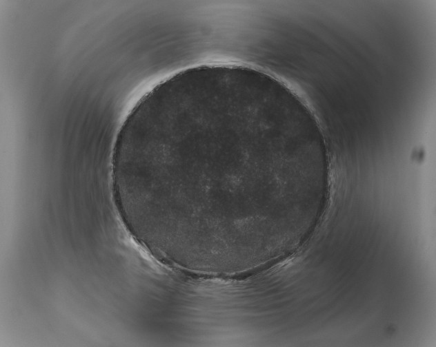 X0000114201327200910231335