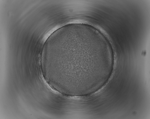 X0000114201329200910231335