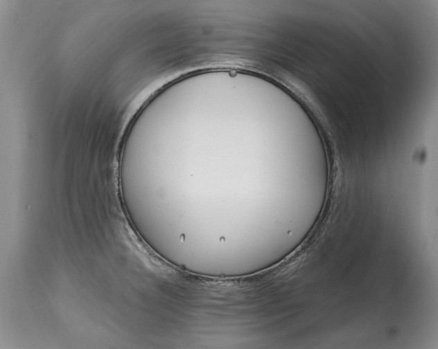 X0000114201332200910231335