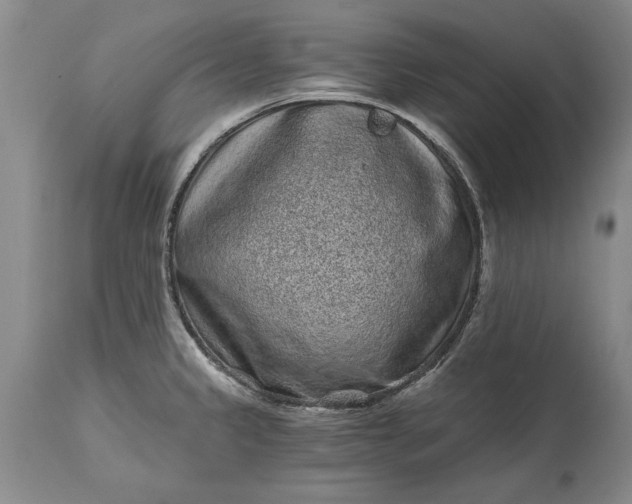 X0000114201333200910231335