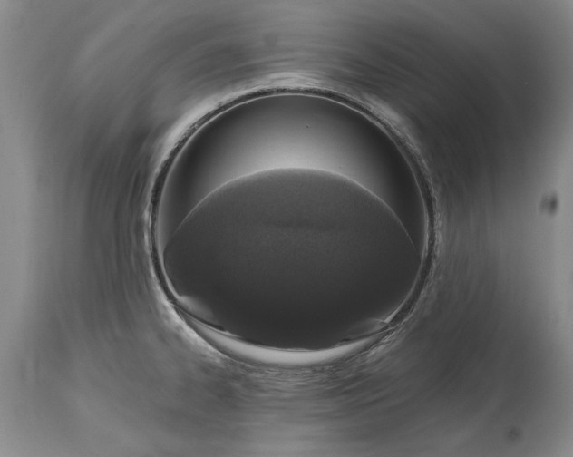 X0000114201334200910231335