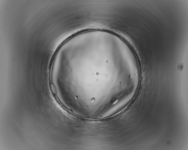 X0000114201335200910231335