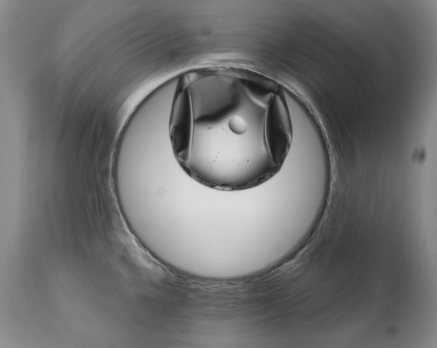 X0000114201336200910231335