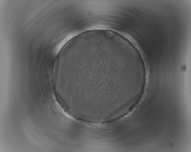 X0000114201337200910231335