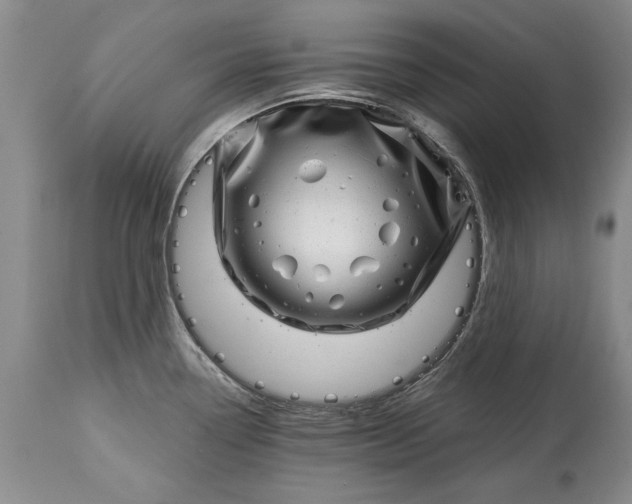 X0000114201338200910231335