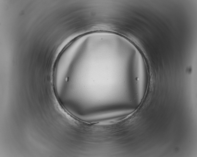 X0000114201339200910231335