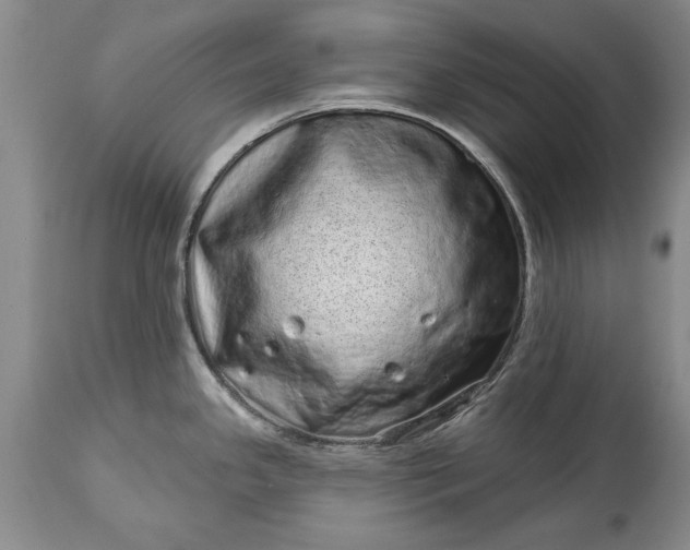 X0000114201341200910231335