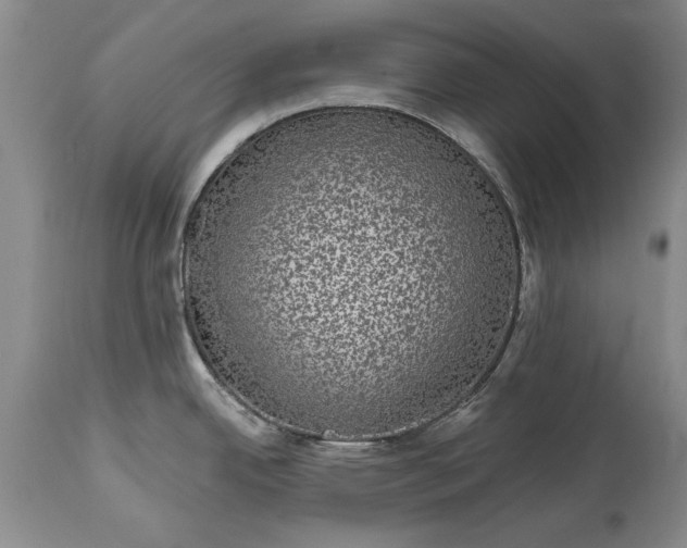 X0000114201342200910231335