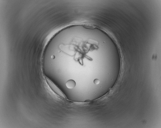 X0000114201344200910231335