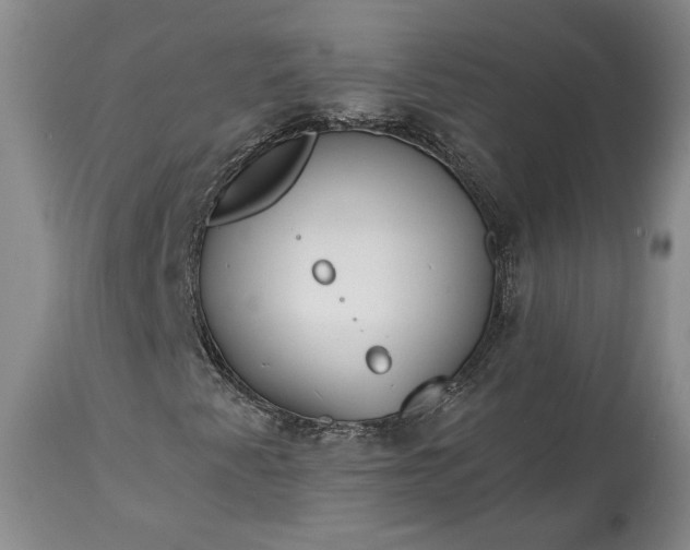 X0000114201345200910231334