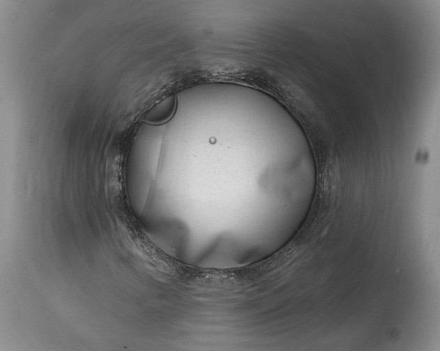 X0000114201346200910231334