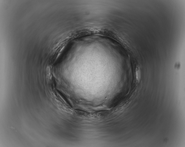 X0000114201347200910231334