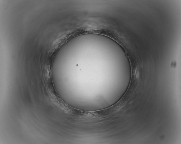 X0000114201348200910231334