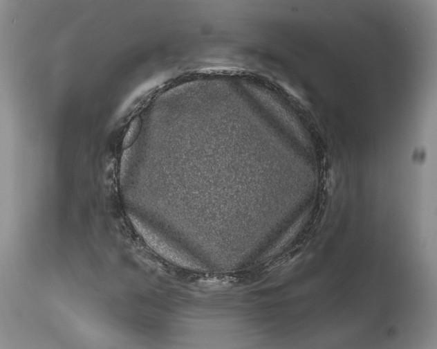 X0000114201351200910231334