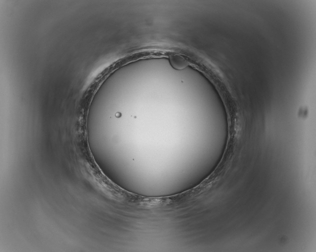 X0000114201352200910231334