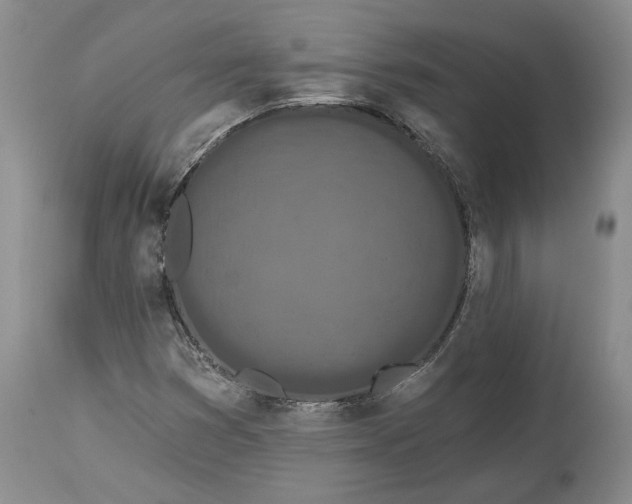 X0000114201353200910231334