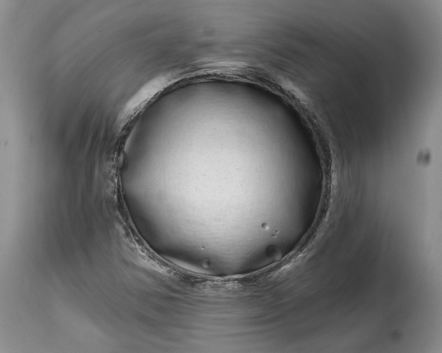 X0000114201354200910231334