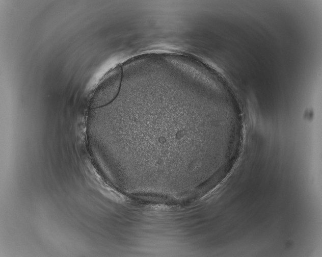 X0000114201355200910231334