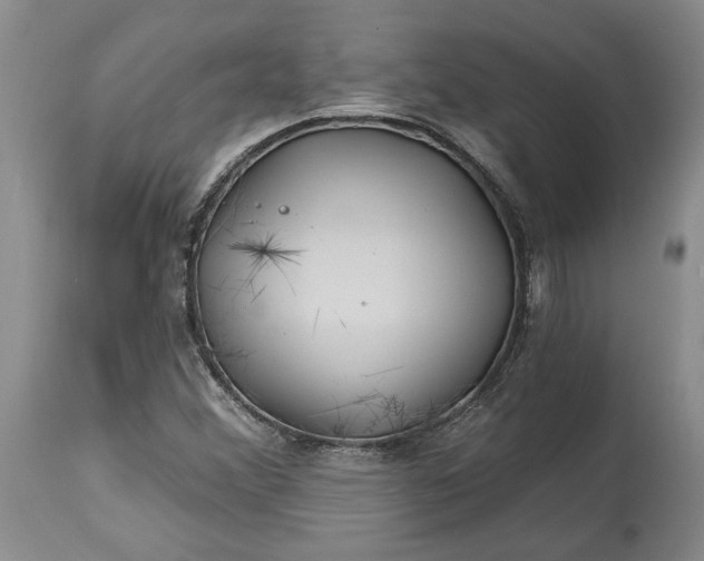 X0000114201356200910231334