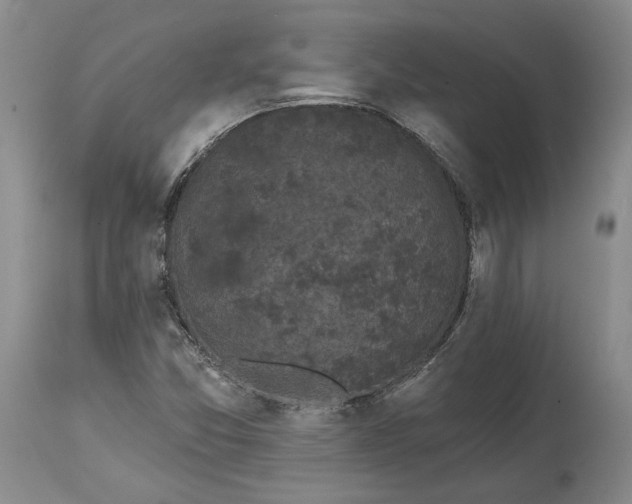 X0000114201357200910231334