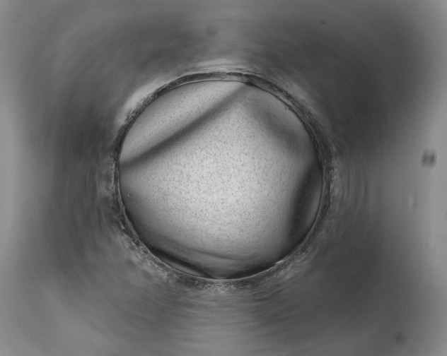 X0000114201358200910231334