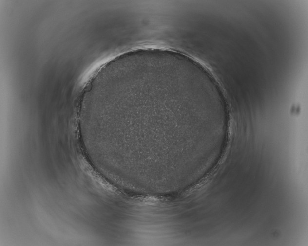 X0000114201359200910231334