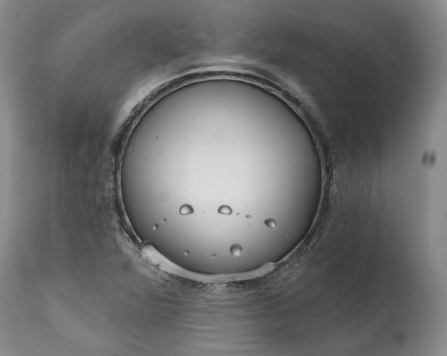 X0000114201360200910231334