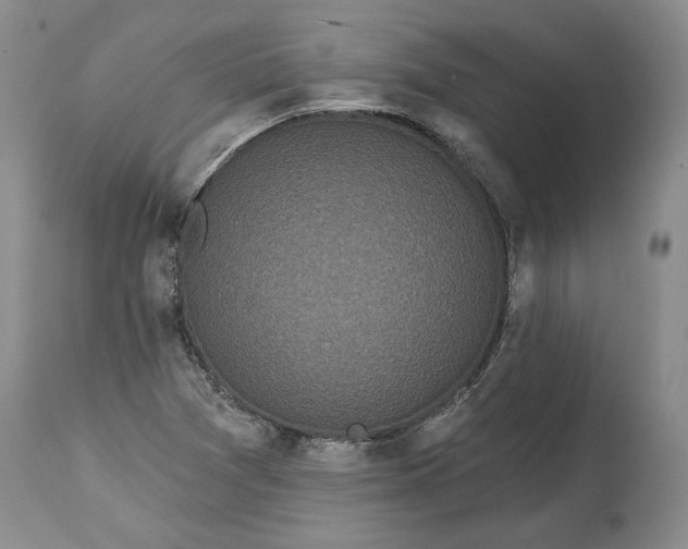 X0000114201361200910231334