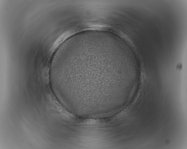 X0000114201362200910231334