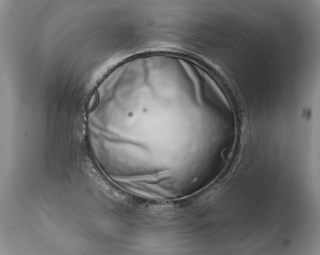 X0000114201363200910231334