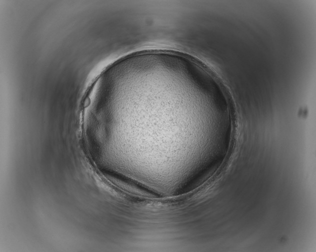 X0000114201366200910231334