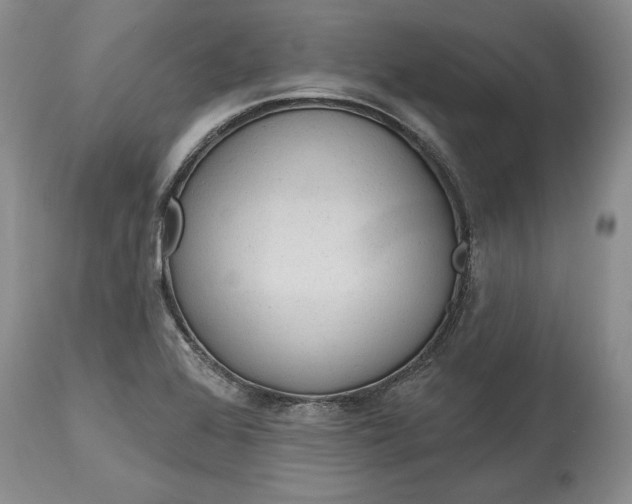 X0000114201368200910231334