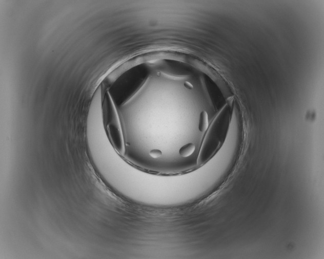 X0000114201369200910231334