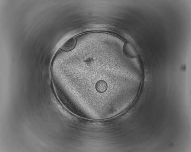 X0000114201370200910231334