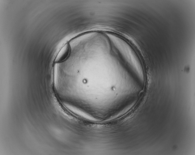 X0000114201371200910231334