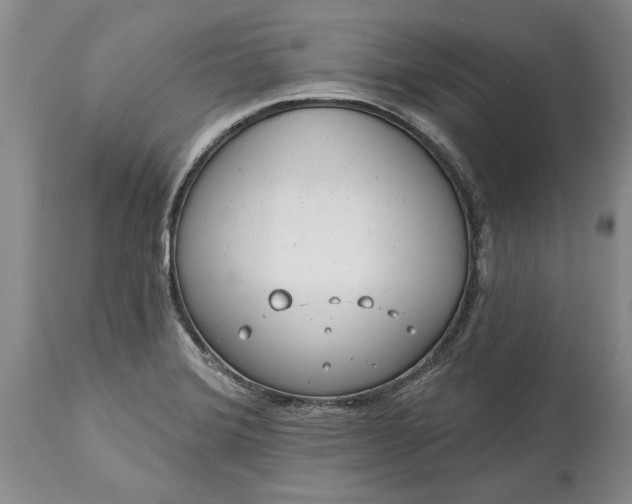 X0000114201372200910231334