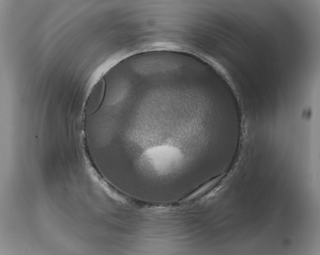 X0000114201373200910231334