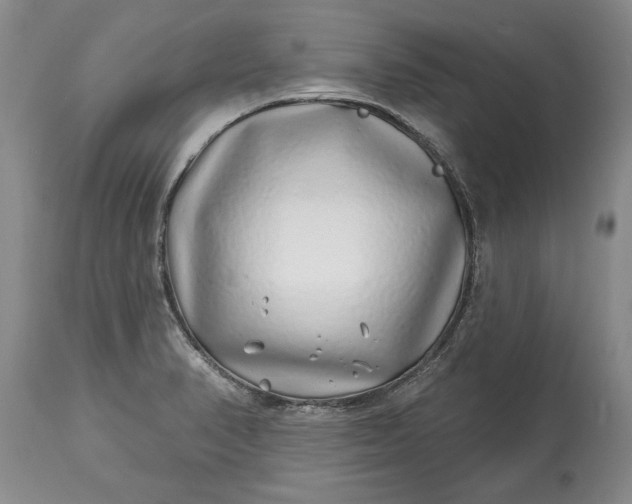 X0000114201374200910231334