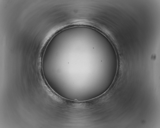 X0000114201376200910231333