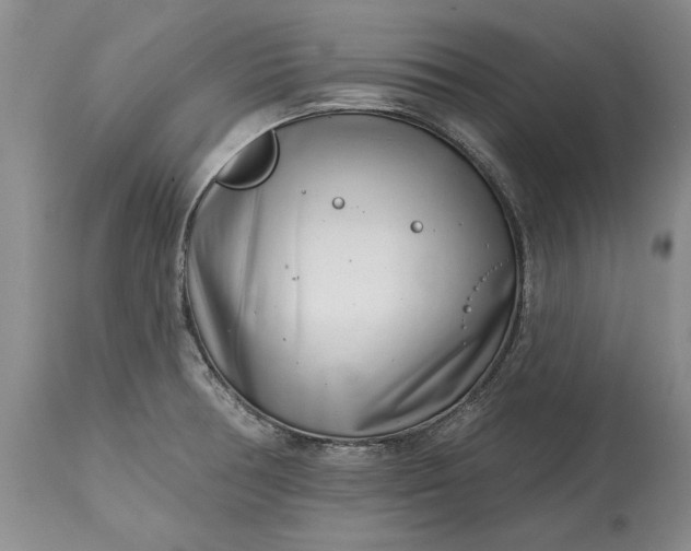 X0000114201378200910231333